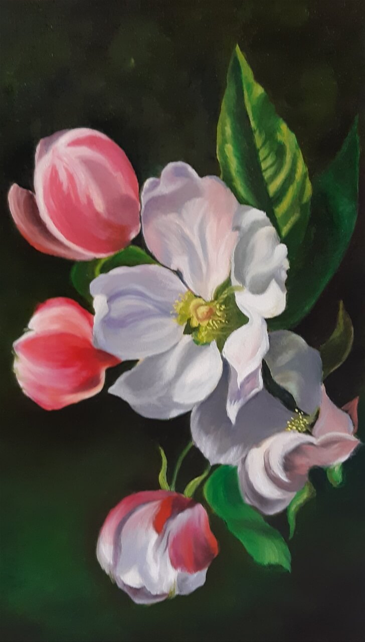 Apfelbluete_Oel_20_50