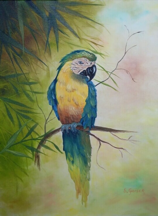 Blau_gelber_Macau_Oel_40_50