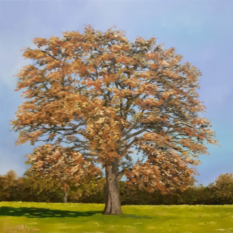 Herbstlicher Baum_Oel_30_30