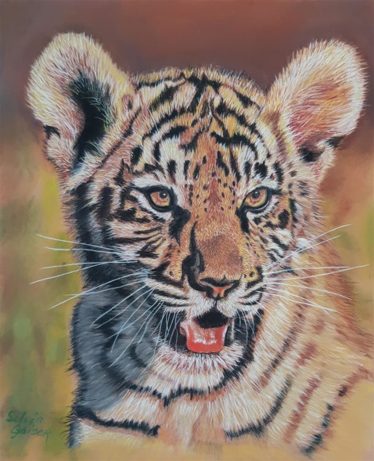 Junger Tiger_Soft Pastels_24_30