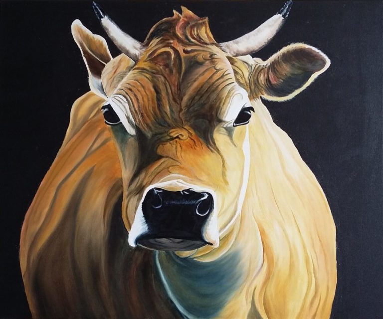 Junges braunes Rind_Oel_60_80