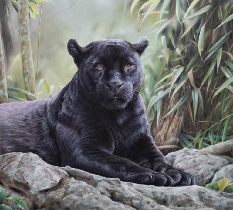 Panther_Motiv_nach_Eric_Wilson_Pastellkreide_50_40