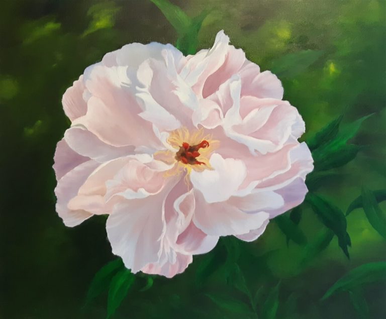 Pfingstrose in meinem Garten_Oel_60_50