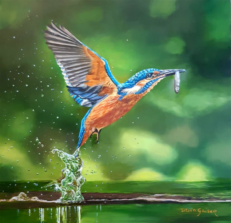 The_Kingfisher_Eisvogel_Oel_40_40
