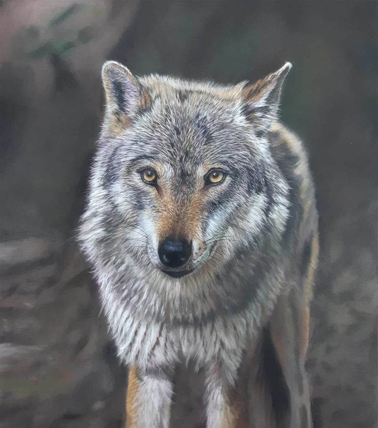 Wolf in Soft Pastels_40_50